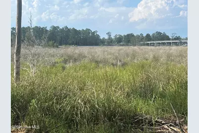 Lot 4 Cedar Lane, Belhaven, NC 27810 - Photo 12