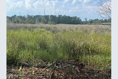 Lot 4 Cedar Lane, Belhaven, NC 27810 - Photo 12