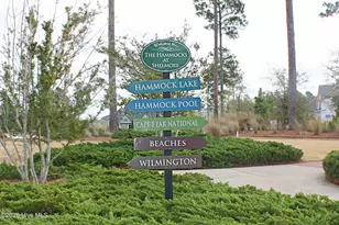 3573 Bendemere Dr, Leland, NC 28451 - Photo 50