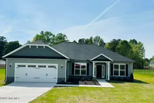 3518 Buster Ct, Bailey, NC 27807 - Photo 1