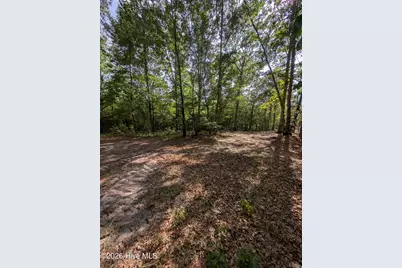 Tbd Peyton Drive, Eagle Springs, NC 27242 - Photo 1
