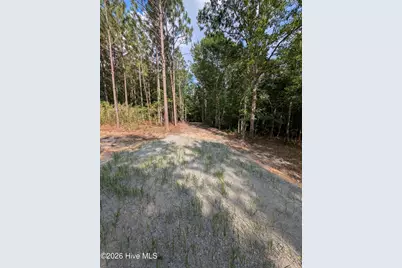 Tbd Peyton Drive, Eagle Springs, NC 27242 - Photo 2