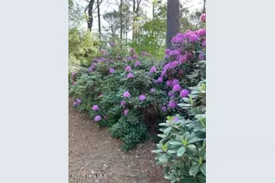 59 Pine Ridge Drive, Whispering Pines, NC 28327 - Photo 60