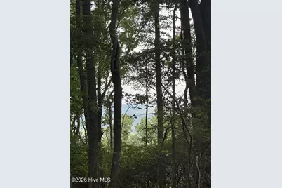 Lot 43 Pine Cove Lane, Murphy, NC 28906 - Photo 12