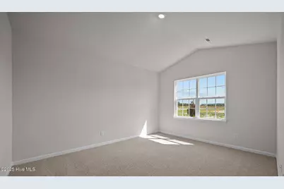 1517 Stone Wood Drive, Winterville, NC 28590 - Photo 20