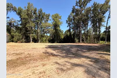 1702 Walnut Run Drive, Deep Run, NC 28525 - Photo 28