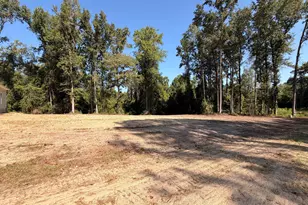 1702 Walnut Run Dr, Deep Run, NC 28525 - Photo 28