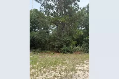 406 Douglas Drive, Beech Island, SC 29842 - Photo 1
