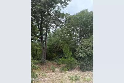 406 Douglas Drive, Beech Island, SC 29842 - Photo 2