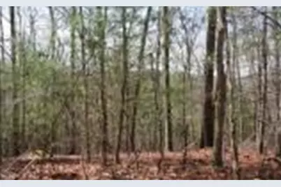 Lot 7 Lady Lane W, Murphy, NC 28906 - Photo 1