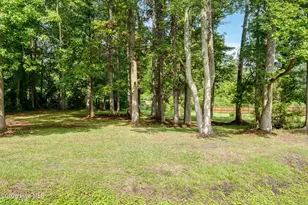 241 N Monk St, Magnolia, NC 28453 - Photo 30