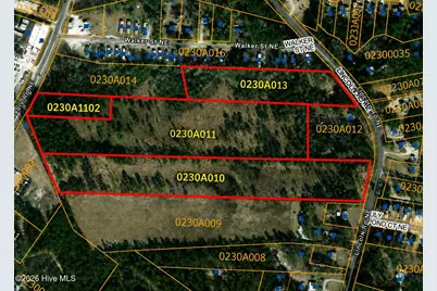 1970 Mt Misery Road NE, Leland, NC 28451 - Photo 1