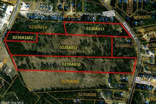 1970 Mount Misery Rd NE, Leland, NC 28451 - Photo 1