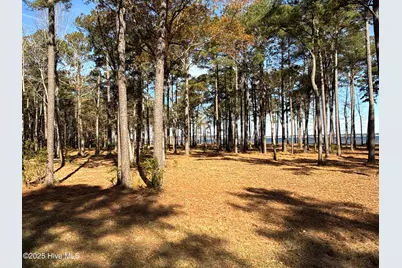 0 Norfleet Shores Road, Belhaven, NC 27810 - Photo 34