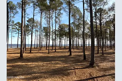 0 Norfleet Shores Road, Belhaven, NC 27810 - Photo 18