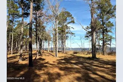 0 Norfleet Shores Road, Belhaven, NC 27810 - Photo 36
