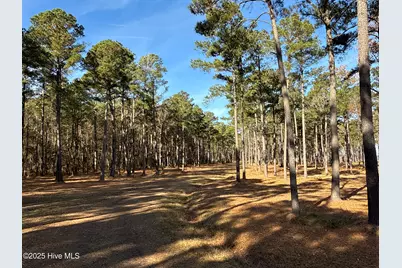 0 Norfleet Shores Road, Belhaven, NC 27810 - Photo 38