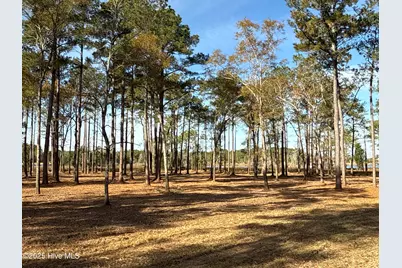 0 Norfleet Shores Road, Belhaven, NC 27810 - Photo 12