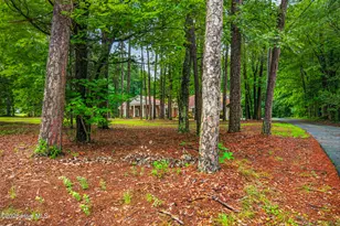 1595 N Moore Rd, Robbins, NC 27325 - Photo 48