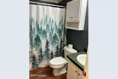 77 Maple Avenue, Elizabethtown, NC 28337 - Photo 14