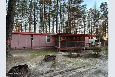 15303 Pea Bridge Road, Laurinburg, NC 28352 - Photo 1