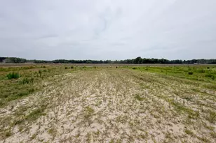 432 Hopewell Rd, Edenton, NC 27932 - Photo 34
