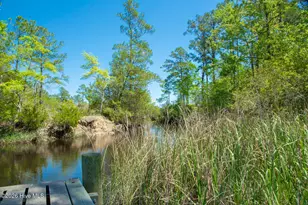 605 Gena Vee Ct, Stella, NC 28582 - Photo 34