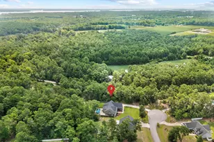 605 Gena Vee Ct, Stella, NC 28582 - Photo 48