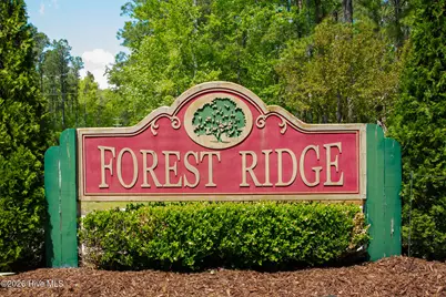 605 Gena Vee Court, Stella, NC 28582 - Photo 52