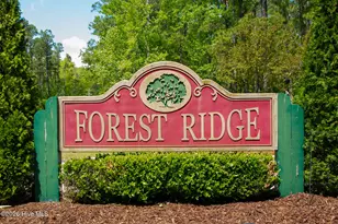 605 Gena Vee Ct, Stella, NC 28582 - Photo 52