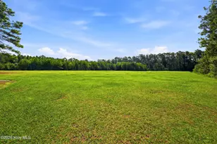 22027 Nc 87 Hwy E, Riegelwood, NC 28456 - Photo 42