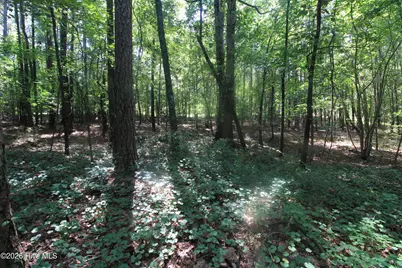 0 Crowatan Trail, Carthage, NC 28327 - Photo 12