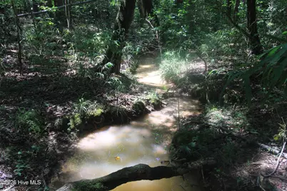 0 Crowatan Trail, Carthage, NC 28327 - Photo 6