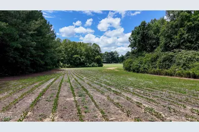 1428 Deberrys Mill Road, Conway, NC 27820 - Photo 88