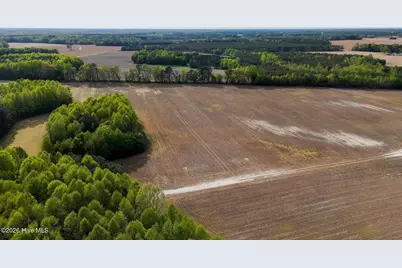 1428 Deberrys Mill Road, Conway, NC 27820 - Photo 12