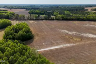 1428 Deberrys Mill Rd, Conway, NC 27820 - Photo 12