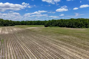 1428 Deberrys Mill Rd, Conway, NC 27820 - Photo 92