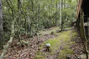221 Chatto Loop, Murphy, NC 28906 - Photo 48