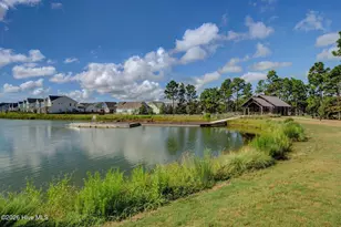 416 Conescu Loop, Wilmington, NC 28412 - Photo 62
