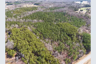 0 Atkins Road, Cedar Grove, NC 27302 - Photo 4