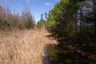 4766 Old Wire Rd, Red Springs, NC 28377 - Photo 1