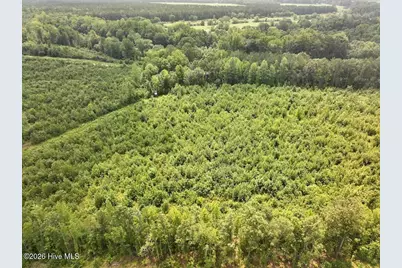 15 Rainbow Road, Scotland Neck, NC 27874 - Photo 12