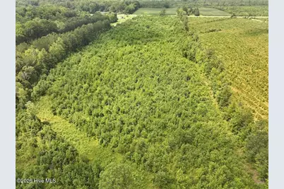 15 Rainbow Road, Scotland Neck, NC 27874 - Photo 10
