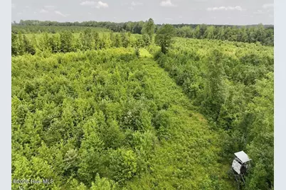 15 Rainbow Road, Scotland Neck, NC 27874 - Photo 18