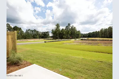 4206 Allsbrook Lane #Unit 1002, Leland, NC 28451 - Photo 34