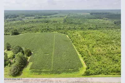 0 Hwy 561, Halifax, NC 27839 - Photo 16