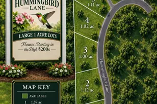 Lot 3 Hummingbird Dr, Trenton, SC 29847 - Photo 2