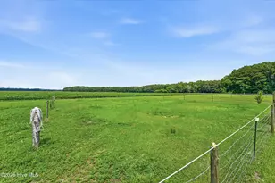 2195 S Nc 111 Hwy S, Chinquapin, NC 28521 - Photo 52