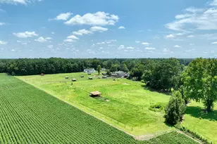 2195 S Nc 111 Hwy S, Chinquapin, NC 28521 - Photo 64