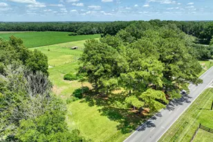 2195 S Nc 111 Hwy S, Chinquapin, NC 28521 - Photo 60